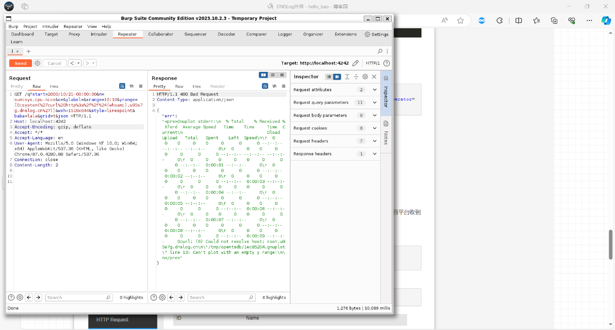  - DNS 外带请求展示