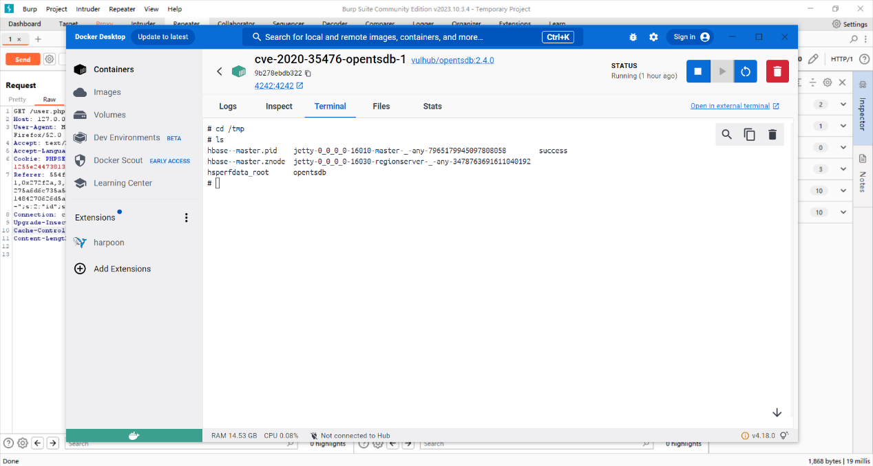 容器展示 - 查看容器内 poc 执行成功