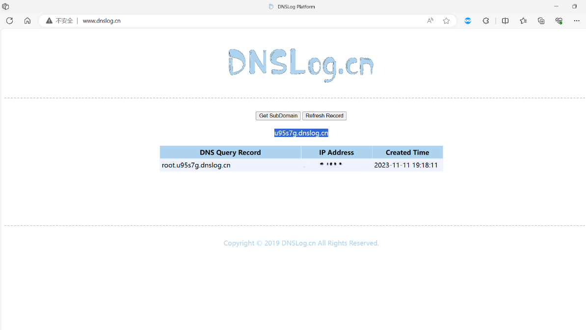 dnslog - dnslog 响应